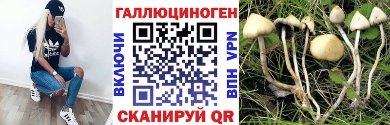 Галлюциногенные грибы Psilocybe  хочу   Ханты-Мансийск 